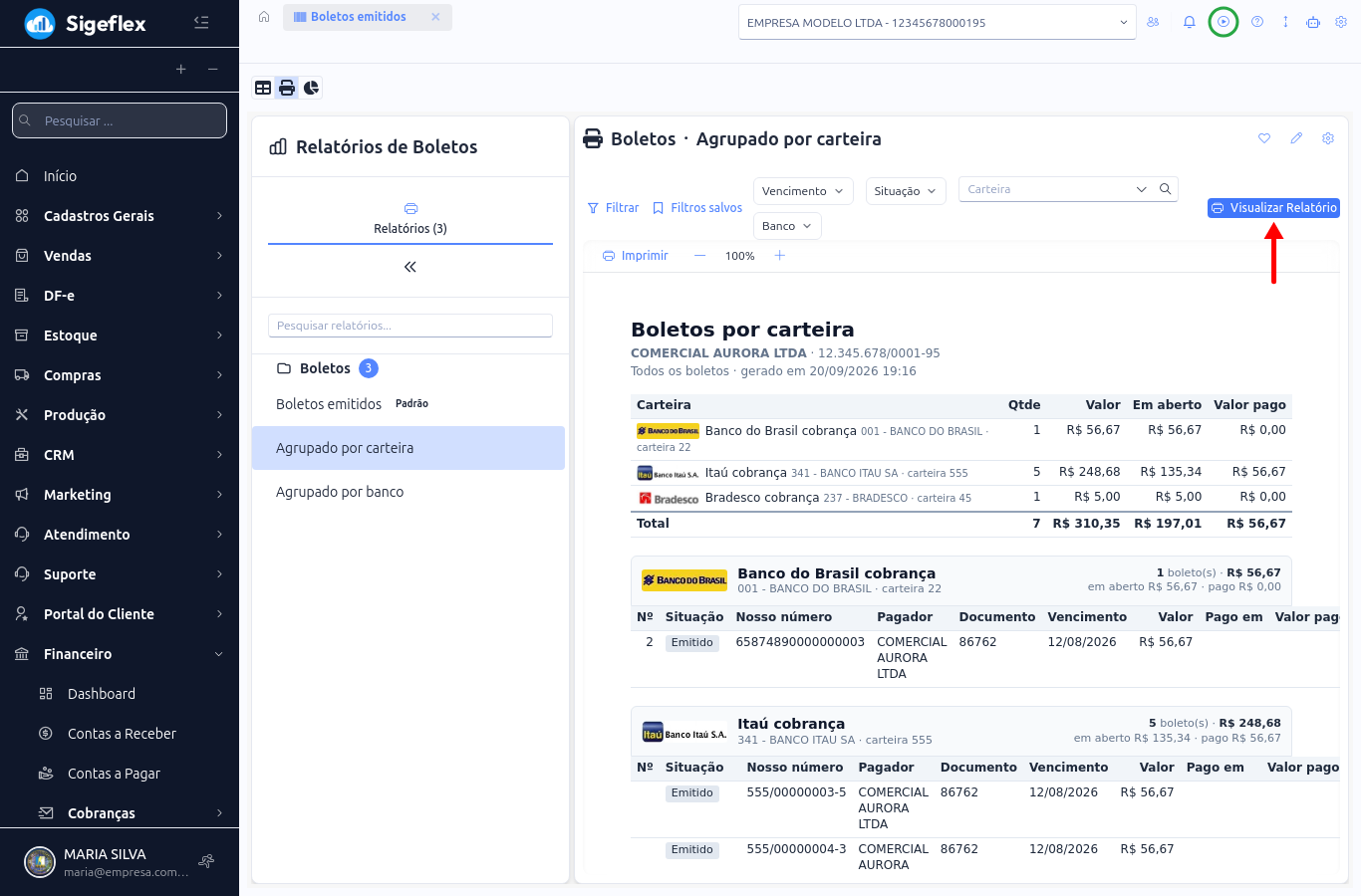 Relatório de boletos agrupado por carteira, com o logotipo do banco, o subtotal de cada carteira e o botão Visualizar Relatório
