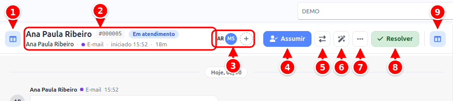 Cabeçalho da conversa com os botões de recolher, o título, os participantes, Assumir, Transferir, Resumir com IA, Mais ações, Resolver e o botão dos detalhes numerados de 1 a 9