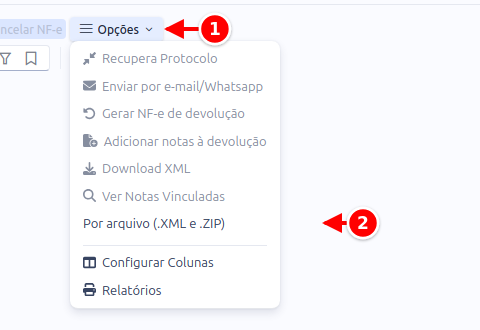 Menu Opções da NF-e com o botão Opções e a opção Por arquivo (.XML e .ZIP) numerados de 1 a 2